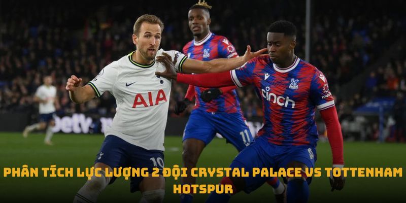 nhan dinh tran crystal palace vs tottenham hotspur phan tich luc luong 2 doi crystal palace vs tottenham hotspur