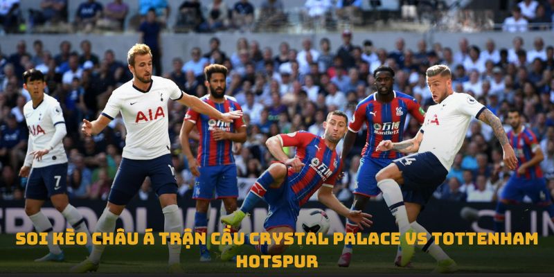 nhan dinh tran crystal palace vs tottenham hotspur soi keo chau a tran cau crystal palace vs tottenham hotspur