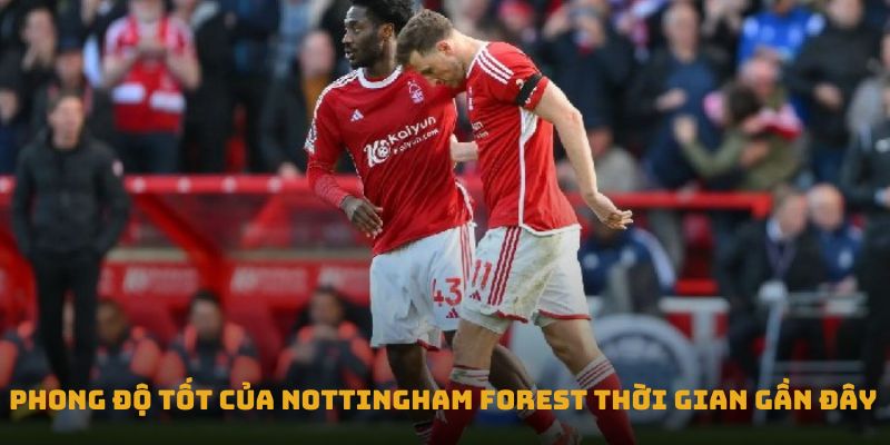 nhan dinh tran leicester city vs nottingham forest phong do tot cua nottingham forest thoi gian gan day