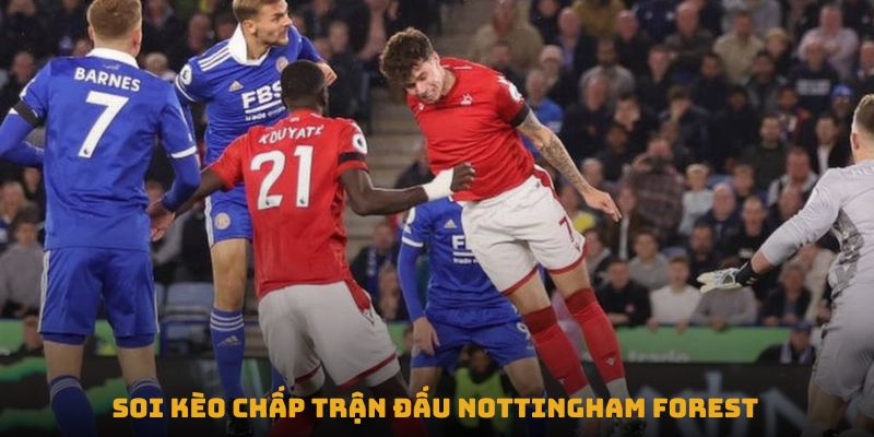 nhan dinh tran leicester city vs nottingham forest soi keo chap tran dau nottingham forest